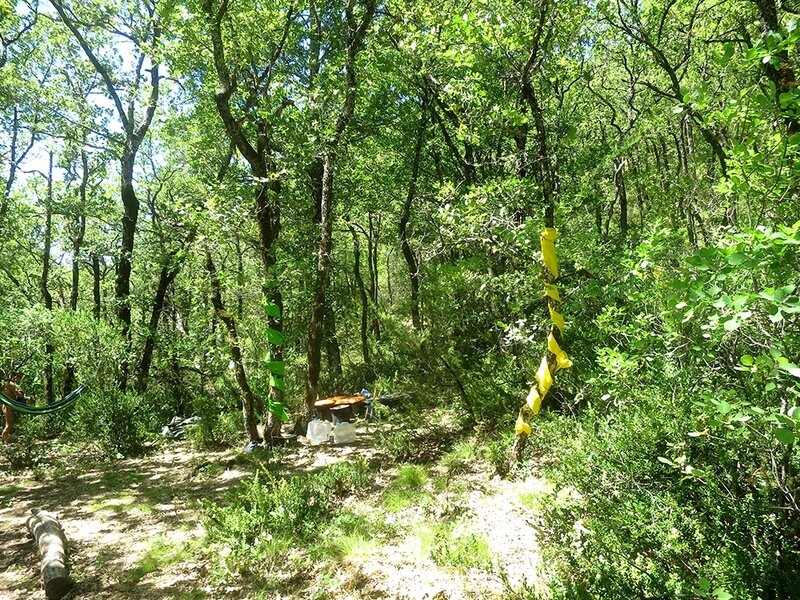 Bivouac découverte Juillet 17 (5)
