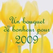 bonne_ann_e_2009