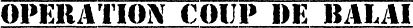 coup_balai_02