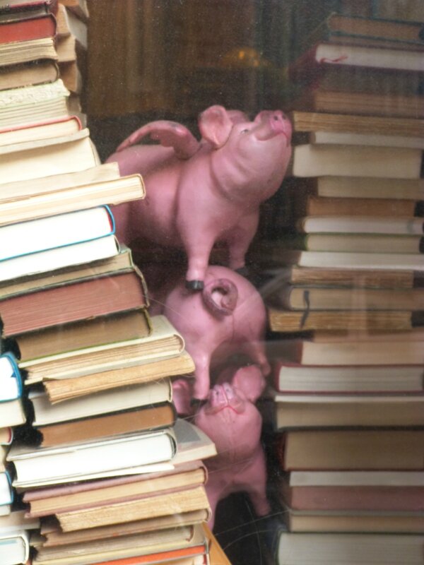 Livre 2