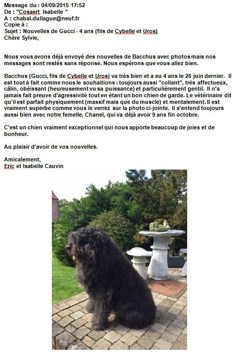 Gucci-de la DULLAGUE vit en BELGIQUE...