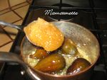 Canette_de_Noirmoutier_008