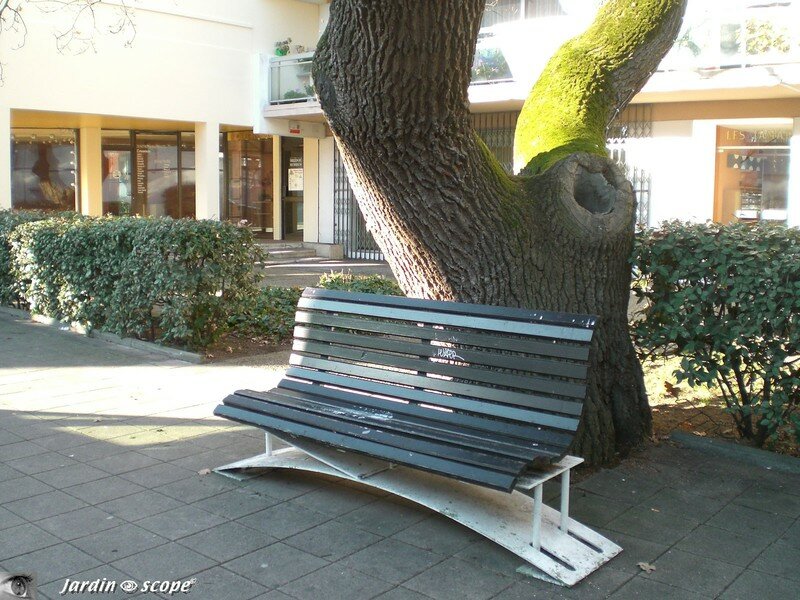Banc dirait-on sur suspension !