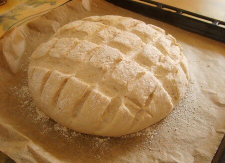 boule_polka_3