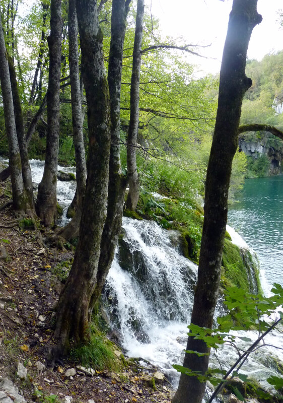 P1040713 - Copie
