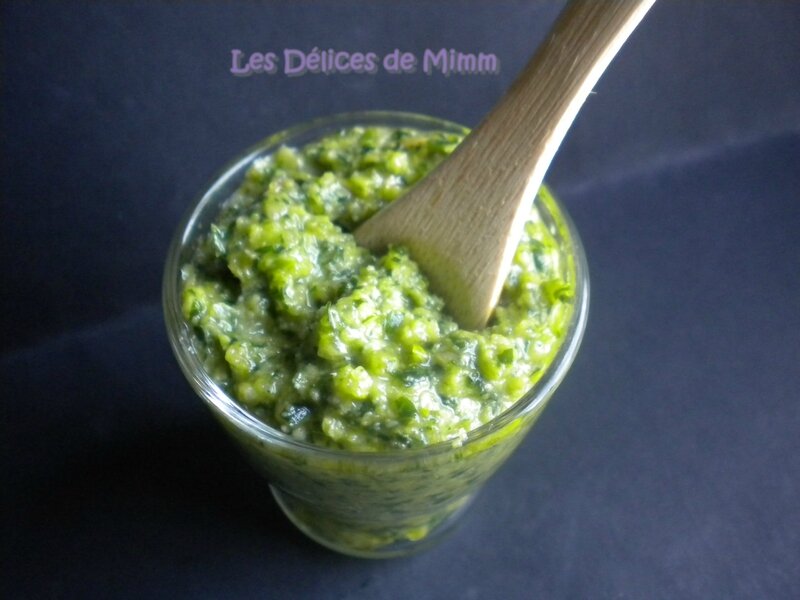 Pesto d’ail des ours 3