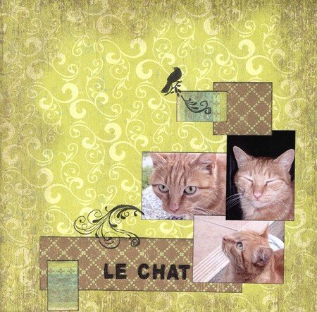 Le_chat_x