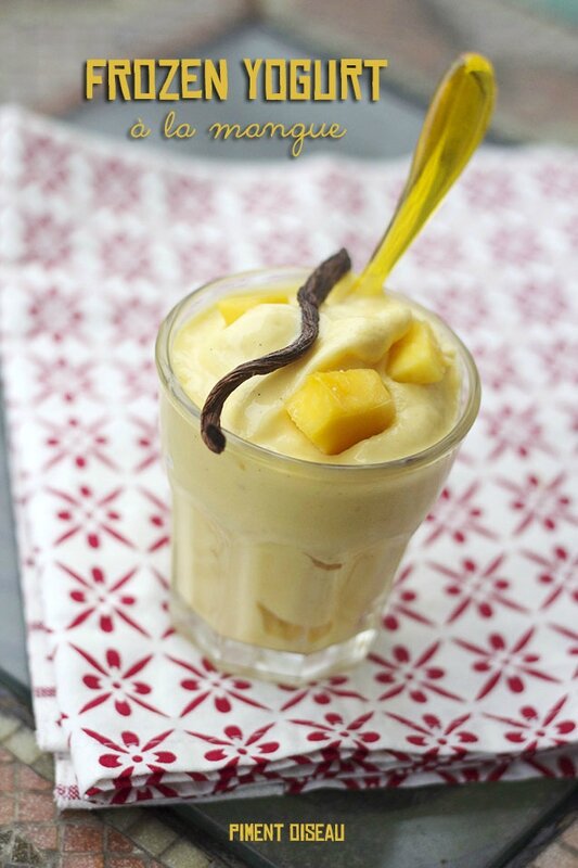 frozen yogurt à la mangue-mango frozen yogurt