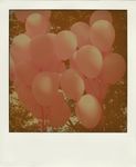 Balloon_pola