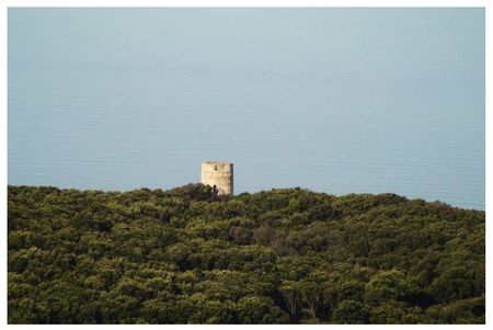 Vieux_moulin___vent_Centuri