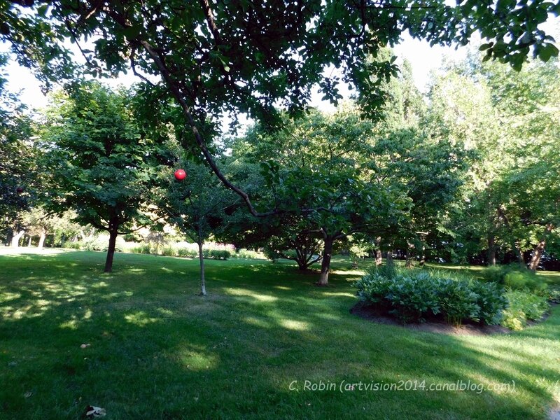 Bois-de-Coulonge-Arboretum-13