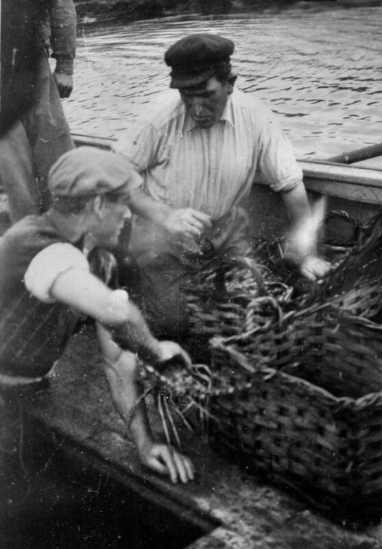 Ch39 - Tri des langoustes sur l'AR SICOUR MAD en 1952