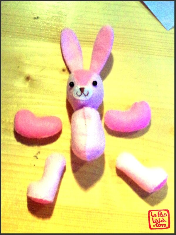 Lapin8