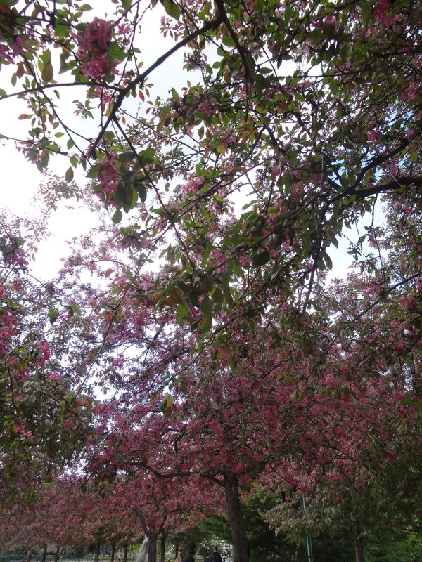 DSC08801