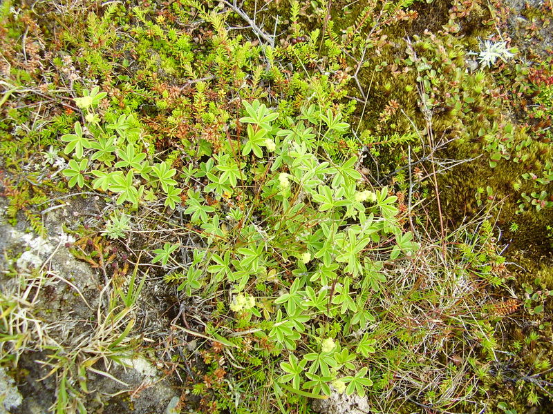 10-08-08 Grotfjord (15)