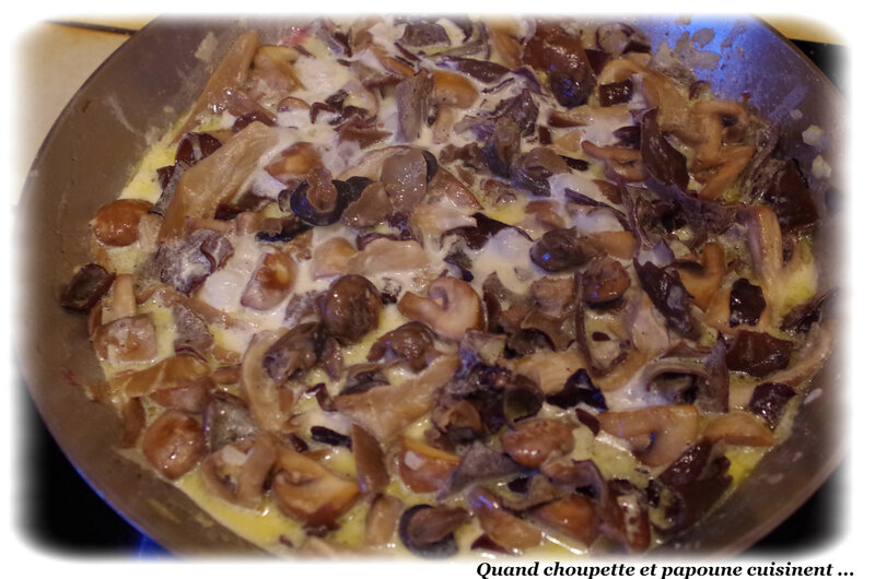 cassolette d'escargots aux champignons-9276