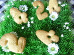 biscuits_au_citron_2