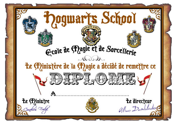 DIPLOME_2
