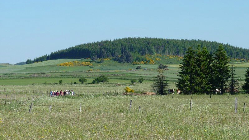 Randonneurs perdus au milieu des champs