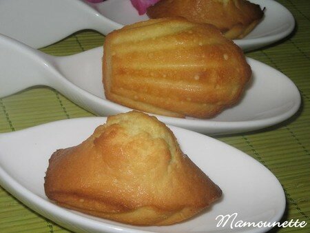 Madeleines___la_fleur_d_oranger_et___la_farine_levante_012