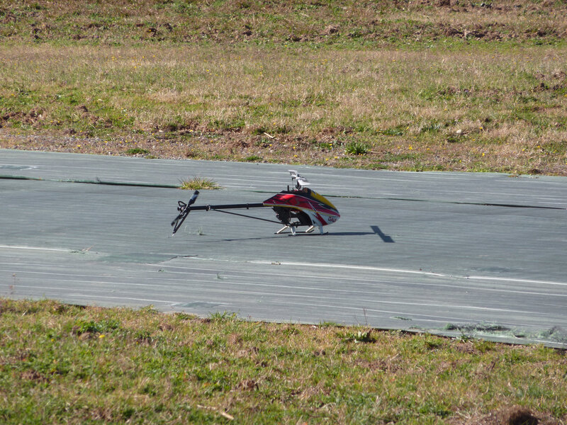 P1060446