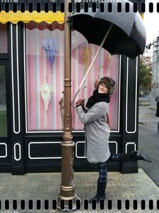 Parc Studio - Les parapluies de Cherbourg