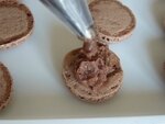 macarons chocolat au lait et noisettes (32)
