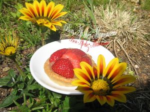 Tartelettes_aux_fraises_Mara_du_jardin_et_compot_e_de_pommes_016