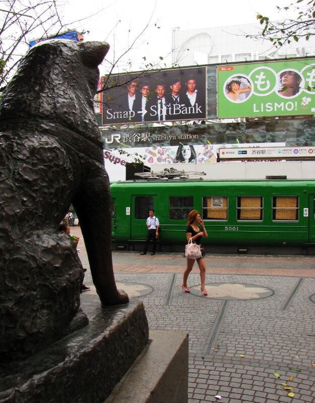 Hachiko, Tôkyû 5001 & the girl, Shibuya