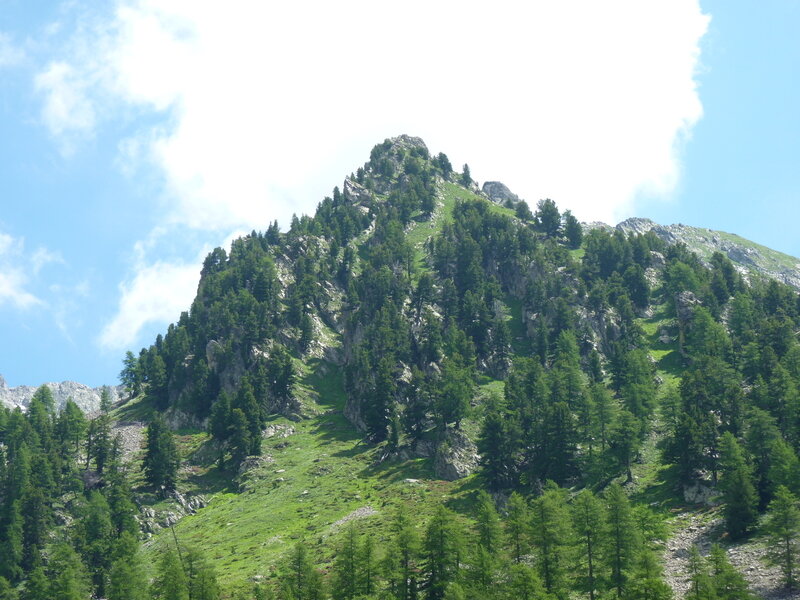 P1130304