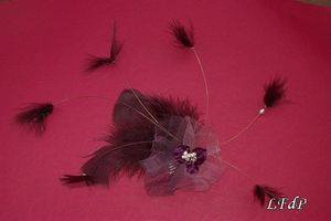 peigne_tulle_et_plumes