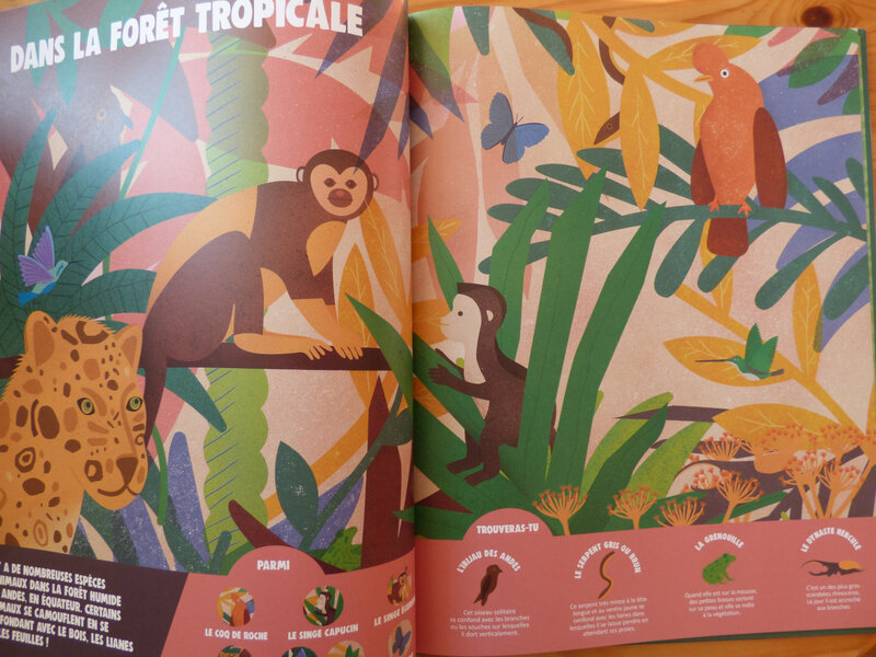 Camouflés, cherchés, trouvés (1)