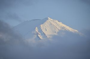 blog_fu4