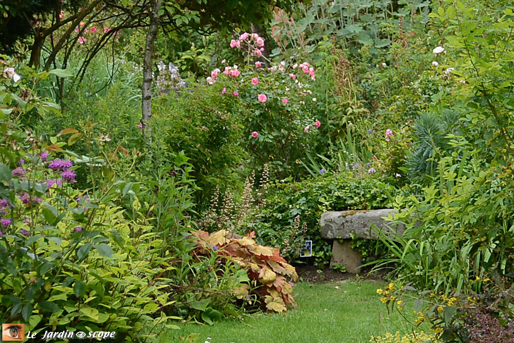 Petit banc en pierre dans l'Eden d'André EVE.