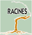 logo_racines_2