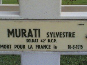NDL_MURATI_s