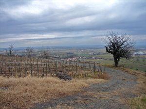 Saint_Romain_le_Puy_8