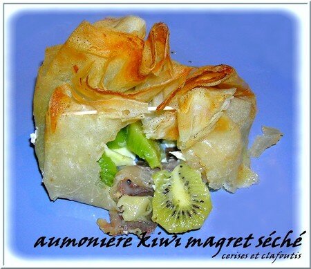 recettes plats Aumonière Magret Séché , Kiwi et Fromage de Chèvre