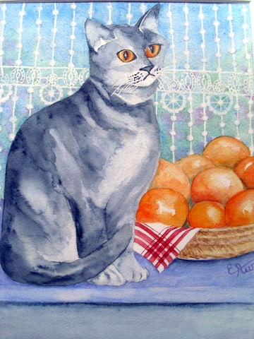 chat aux oranges