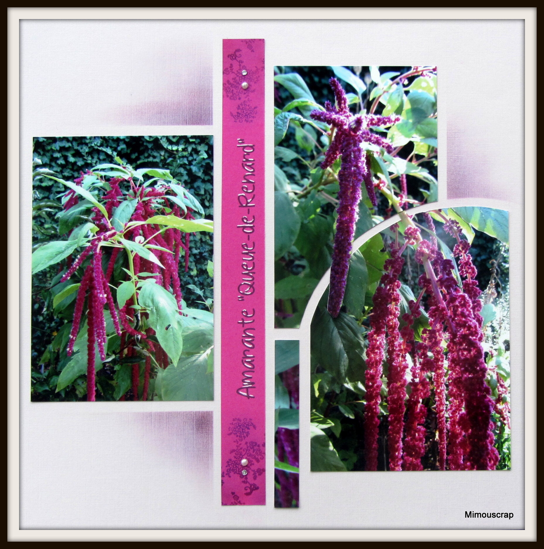 Jardin 2016 084