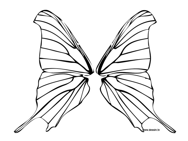 coloriage-ailes-de-papillon