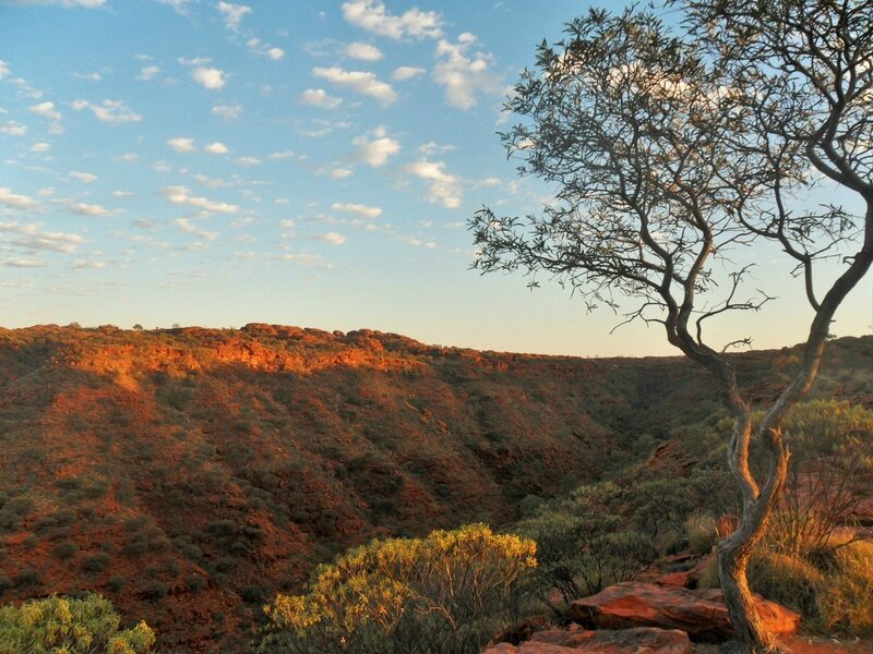 Red Center - Kings Canyon (9)