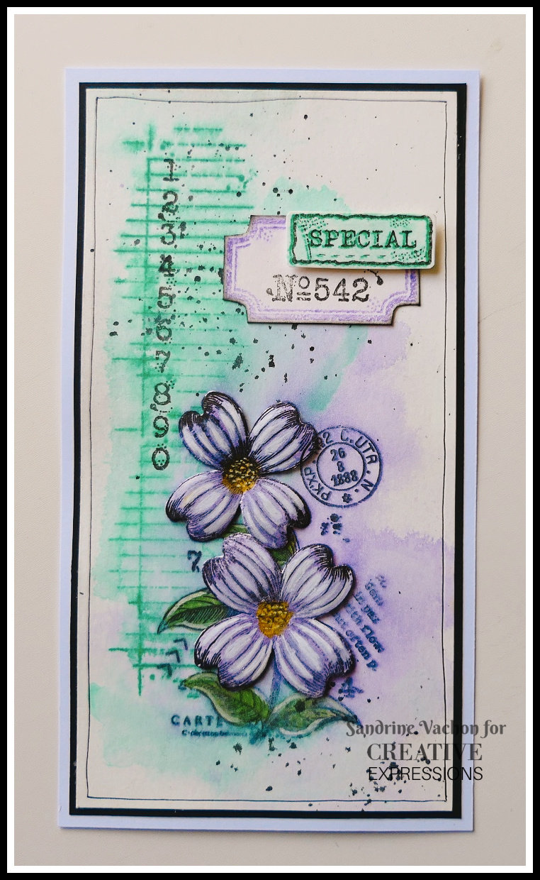 Sandrine VACHON carte Special CE (1)