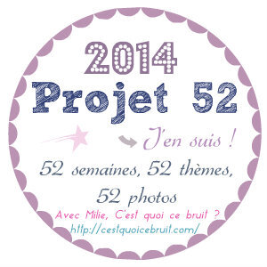 projet_52_milie_logo