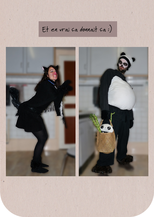 déguisement halloween chat panda