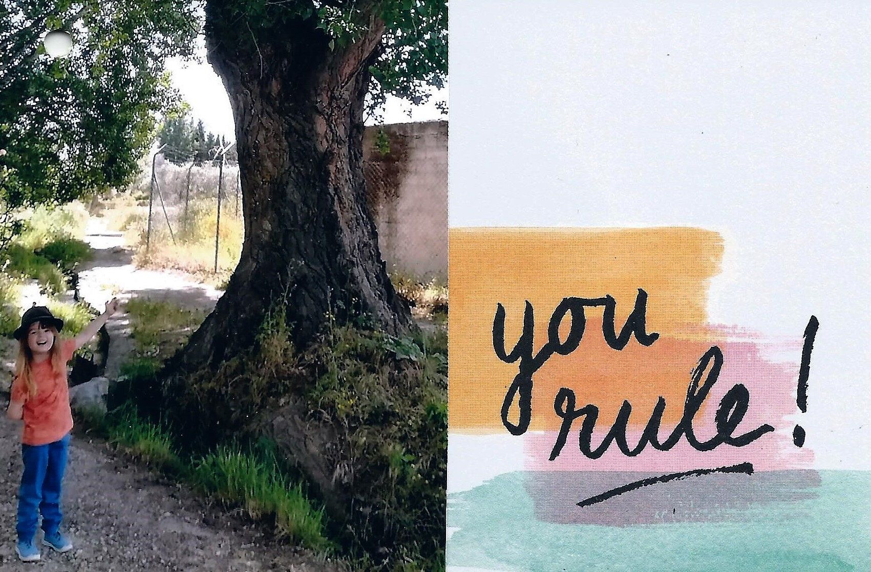29