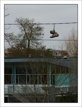 ville_baskets_suspendues