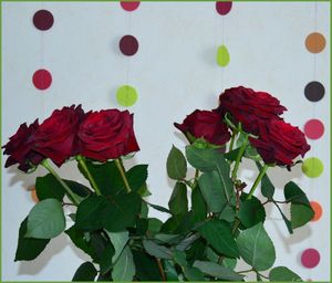 roses guirlandes en papier