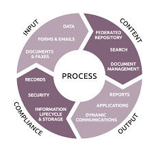 BUSINESS PROCESS MANAGING DATA 1