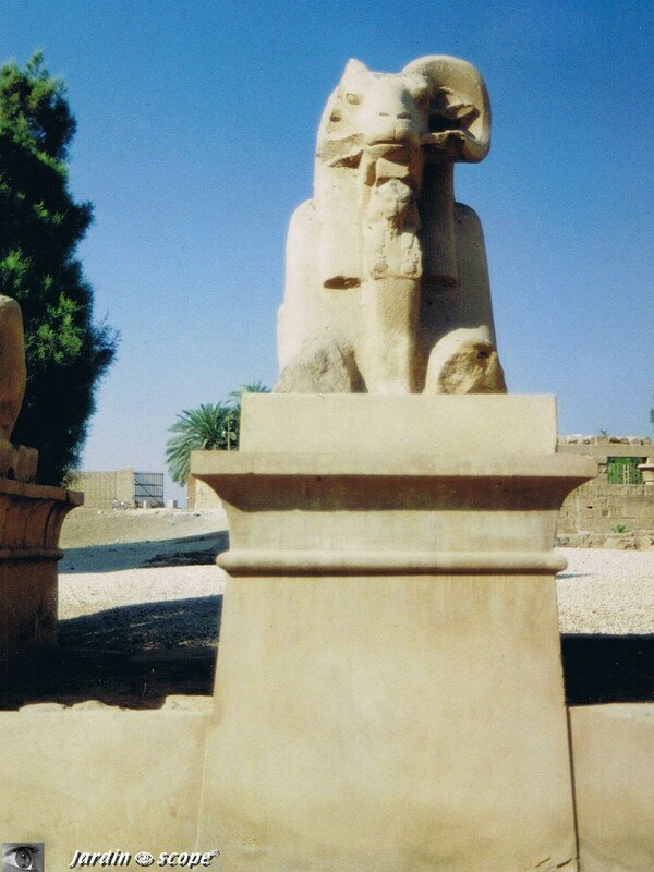 Un des sphinx à tête de bélier de l'allée d'entrée à Karnak